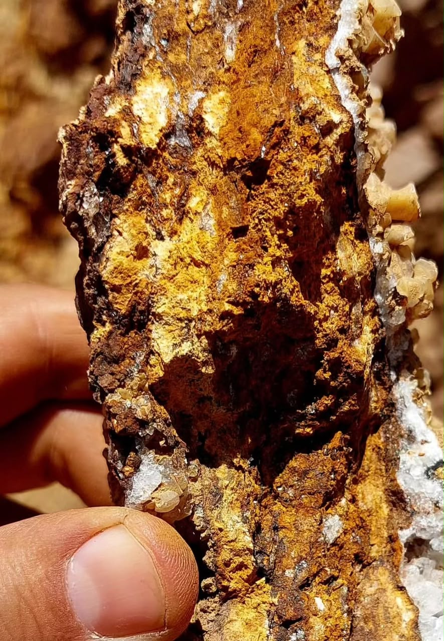 Gold bullion inspection